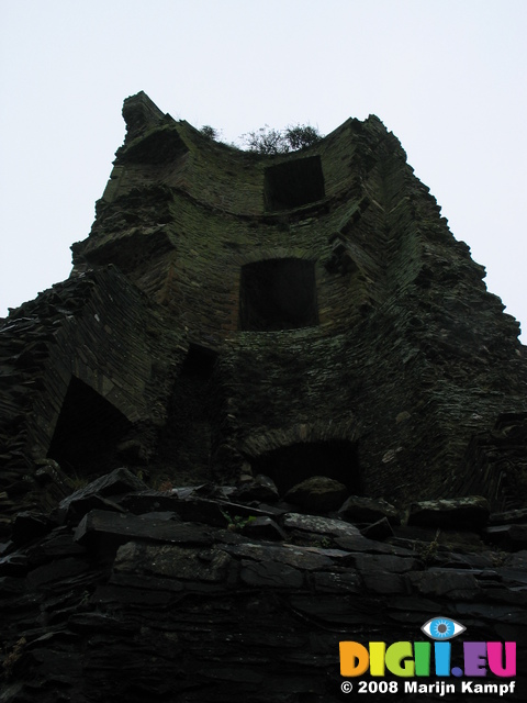 24201 Ruins of Fern Castle tower